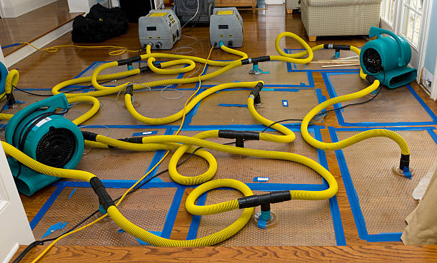 Professional Storm Water Damage Restoration technician working in Vandemere, NC